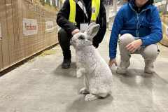 Messenger_creation_13186055-08EF-410F-AADF-D016A8FB3166