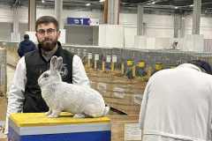 Messenger_creation_3FE27A3D-ABAE-4771-91D8-2D451E9C0F52