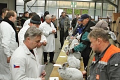 IMG_6579
