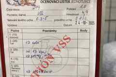 Messenger_creation_091B9B26-4DE5-4F61-A850-F559C697B7F5