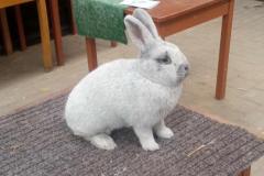 Messenger_creation_2117BD2B-F52E-44DB-90AF-144A22A01AE8