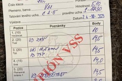 Messenger_creation_326F9987-493B-408D-AB1B-8A0E134E561F