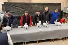 Messenger_creation_3C66CC66-BB3A-427C-AF16-6EC8632273FA