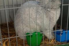 Messenger_creation_83C62579-491D-47A6-9919-2A770DA17590