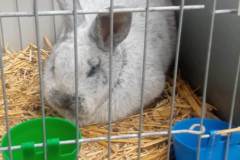 Messenger_creation_857BCC7C-277F-40BB-B5A9-E7410B979CEB