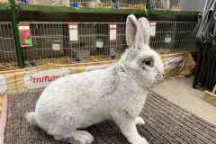 Messenger_creation_C7384120-1330-4E17-9215-687FA4A25779