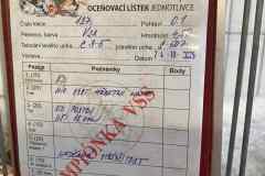 Messenger_creation_E6504D7F-11A3-4FBD-B554-F47F762C56F4