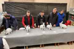 Messenger_creation_E9F6C683-B4E6-4CDF-8DC4-F3D6E046C892