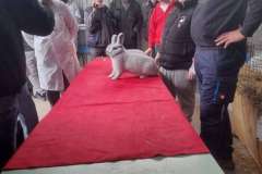 FB_IMG_1763578103133