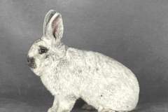 FB_IMG_1763578107062