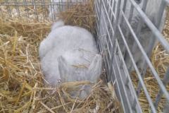 FB_IMG_1763578112740