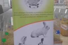 FB_IMG_1763578116621