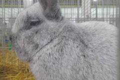 FB_IMG_1763578122486