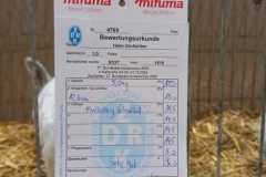 IMG-20251222-WA0008