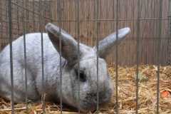 IMG-20251222-WA0010