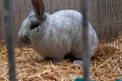 IMG-20251222-WA0020