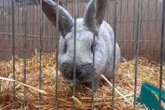 IMG-20251222-WA0021
