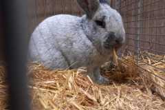 IMG-20251222-WA0023