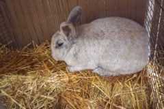 IMG-20251222-WA0039