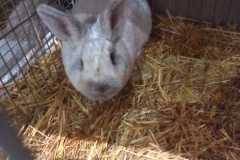 IMG-20251222-WA0040