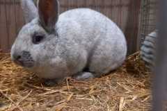 IMG-20251222-WA0041