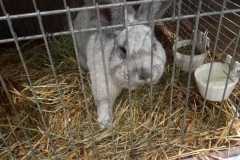IMG-20251222-WA0042