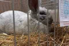 IMG-20251222-WA0046