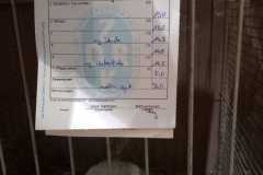 IMG-20251222-WA0049