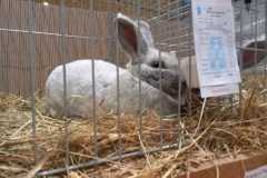IMG-20251222-WA0055