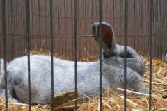 IMG-20251222-WA0058