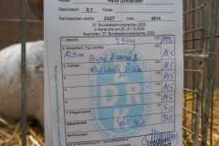 IMG-20251222-WA00611