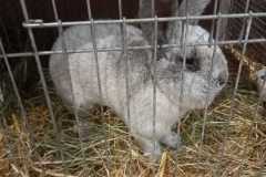 IMG-20251222-WA0062