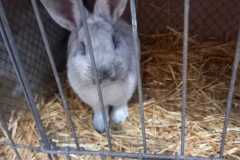 IMG-20251222-WA0065