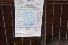 IMG-20251222-WA0066