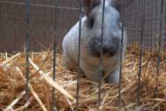 IMG-20251222-WA0068
