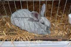 IMG-20251222-WA0069