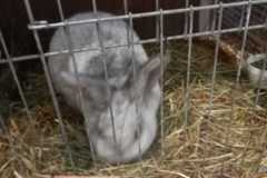 IMG-20251222-WA0070