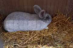 IMG-20251222-WA0072