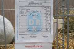 IMG-20251222-WA0073