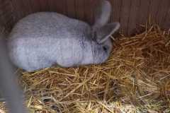 IMG-20251222-WA0074