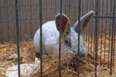 IMG-20251222-WA0075