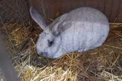 IMG-20251222-WA0076
