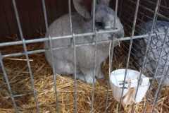 IMG-20251222-WA0079