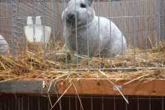 IMG-20251222-WA0080
