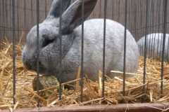 IMG-20251222-WA0081