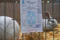 IMG-20251222-WA0082