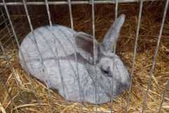 IMG-20251222-WA0083