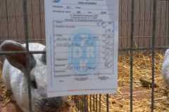 IMG-20251222-WA0085