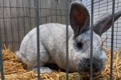IMG-20251222-WA0087