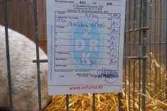 IMG-20251222-WA0089